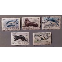 Фауна. СССР, 1971