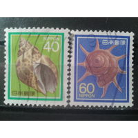 Япония, 1985. Ракушки, полная серия