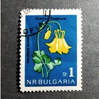 Марка Болгария 1963 год Цветы