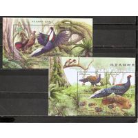 ФФ1 Тайвань 2014 Фазан