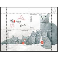2009 БЕЛАРУСЬ  блок коллекционных марок "Кошки"   MNH