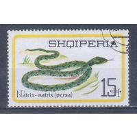 [610] Албания 1966. Фауна.Рептилии.Змеи.Уж. Гашеная марка.