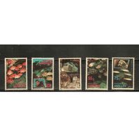 Антиллы(Нидерландские)-1991(Мих.709-713) , **    , Морская Фауна , Рыбы, (полная серия)