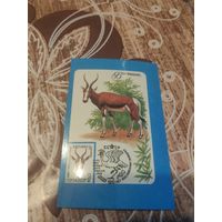 Календарик,ссср,марки