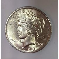 Доллар мирный 1923 США в родной патине с блеском