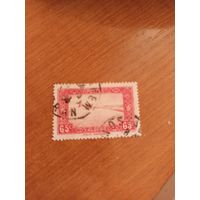 1936 французская колония Алжир фауна архитектура  (4-8)