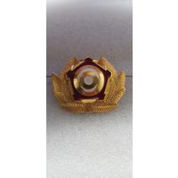 Кокарда ВОХР Россия*