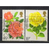Великобритания 1976 EII 100 летие Королевского национального общества роз Культивированные розы #711-2