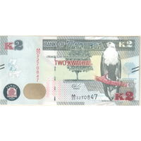 Замбия 2 квача 2020