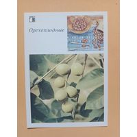 Открытка,1986