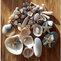 Все для аквариума, отросток белого коралла, раковины и др.