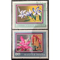 Венгрия. Флора. Цветы