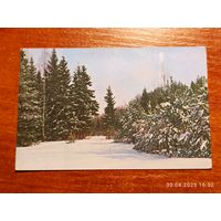 Календарик 1989 Зимний Лес