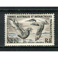 Французские Южные и Антарктические территории (TAAF) - 1959 - Птицы 40С - [Mi.15] - 1 марка. MNH.  (Лот 8JR)-T3P19