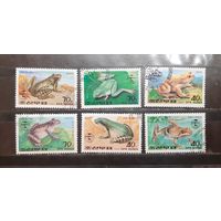 Корея. 1992 год. Фауна. Земноводные. Лягушки (1079)