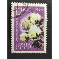1964 СССР. Сельскохозяйственные растения