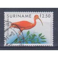 [1759] Суринам 1985. Фауна.Птицы.Красный ибис. Гашеная марка.