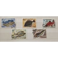 РАСПРОДАЖА КОЛЛЕКЦИИ. СССР. марки "рыбы"