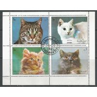 Шарджа. Кошки. 1972г. Mi#1288-91. Кв.блок.