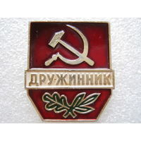 Дружинник.