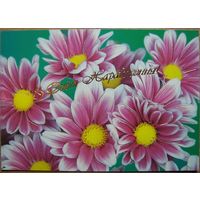 Карточки РБ. З Днем Нараджэння. 2005г.