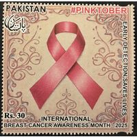 Пакистан 2025 Медицина. Борьба с раком.