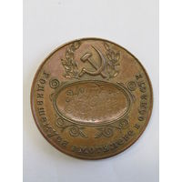 Памятная настольная медаль. Бронза. "Родившемуся в Могилевской области". "К столетию со дня рождения В.И. Ленина". 1969г. Ретро СССР. м