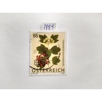 Австрия  1999 цветы