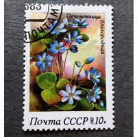 Марки СССР 1983 год Цветы