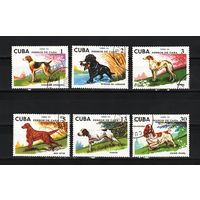 Куба 1976, фауна, охотничьи собаки,  Mi 1,56, К221