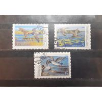 СССР. 1990 год. Фауна. Птицы. Утки (433)