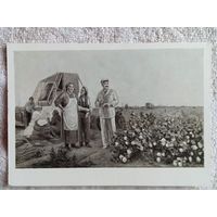 1955. Соснин. Утро на хлопковом поле