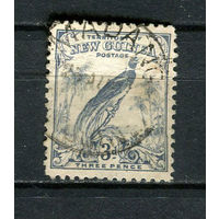 Новая Гвинея - 1932 - Птица 3Р - [Mi.96] - 1 марка. Гашеная.  (Лот 18JR)-T3P19