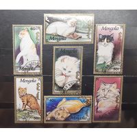 Монголия. 1991 год. Фауна. Кошки (1310)