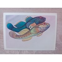 Левиновский 1983 не подписана