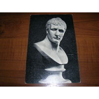 Эрмитаж Наполеон чистая