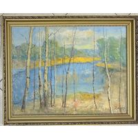 Дмухайло И.С "Возера",1975г. р.78,5х60см. 90/72 см.в родной раме. Холст на картоне.