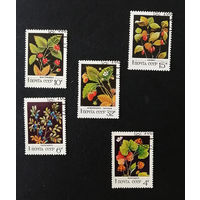 СССР 1982 г. Дикорастущие ягоды. Флора, полная серия из 5 марок #0182-Ф1P35