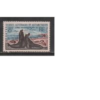 Французские Антарктические Территории-1962(Мих.25) , * , Морская Фауна(одиночка)