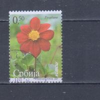 [920] Сербия 2007. Флора.Цветы. Гашеная марка.