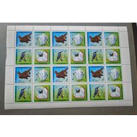 Марки Беларусь