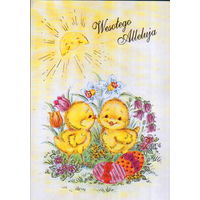 Подписанная открытка Польша 1996г. "Пасха. Цыплята"