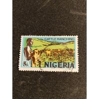 Нигерия 1973  пастух