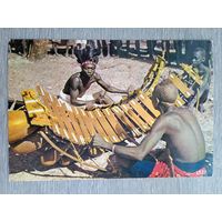 Этнография. Африка. Играющий на балафоне