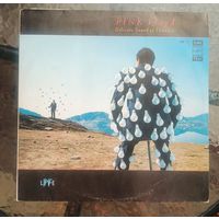 Пластинка Pink Floyd – Delicate Sound Of Thunder -1 пластинка