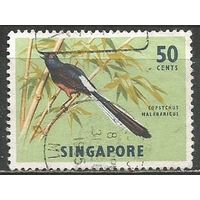 Сингапур. Птицы. Дрозд. 1963г. Mi#65.