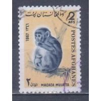 [1891] Афганистан 1967. Фауна.Обезьяны. Гашеная марка.