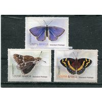 ЮАР. Фауна. Бабочки