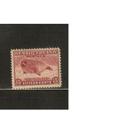 Ньюфауленд-1932(Мих.180С) , **   ,     Фауна , Тюлень, перф. 12 1/2