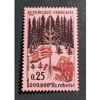 Франция 1965 Восстановление леса